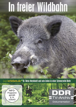 Lade das Bild in den Galerie-Viewer, In freier Wildbahn (Wildschwein ehrenhalber)
