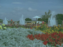 Lade das Bild in den Galerie-Viewer, Die DDR in Originalaufnahmen ‒ Erfurt ‒ Zwischen Domplatz und Blumenstadt
