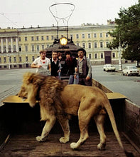 Lade das Bild in den Galerie-Viewer, Die Unglaubwürdigen Abenteuer der Italiener in Russland (Blu-Ray)

