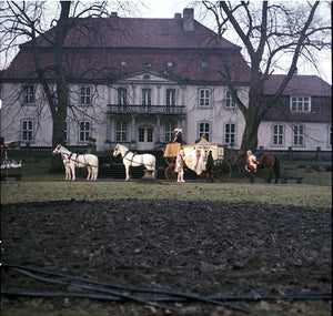 Die klugen Dinge